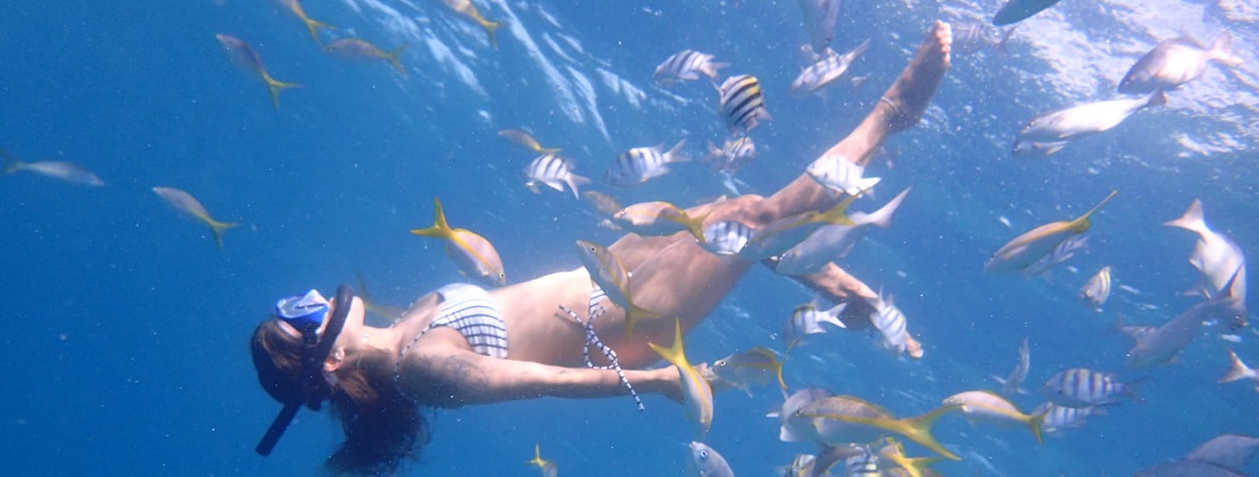 Snorkeling, Varadero, Cuba